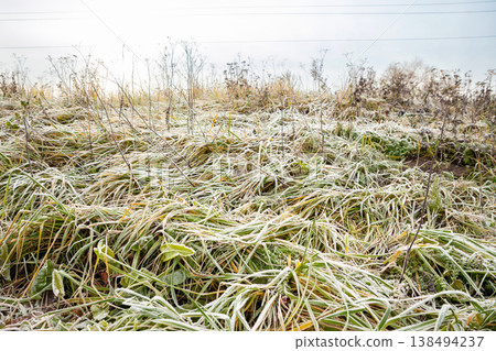 Frozen grass and dry plants in a frosty morning landscape, concept of winter coming and the first cold weather. Frozen grass and dry plants in a frosty morning landscape, concept of winter coming and the first cold weather. 138494237