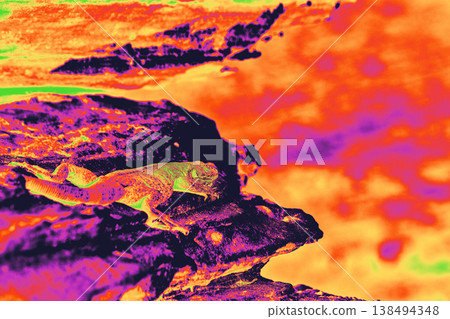 Infrared Gradient Map Lizard on Red Rock Canyon Stone in Vibrant Abstract Colors 138494348