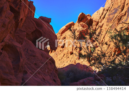 Red Sandstone Cliffs Blue Sky and Desert Shrubs in Sunlit Nevada Canyon Red Sandstone Cliffs Blue Sky and Desert Shrubs in Sunlit Nevada Canyon 138494414