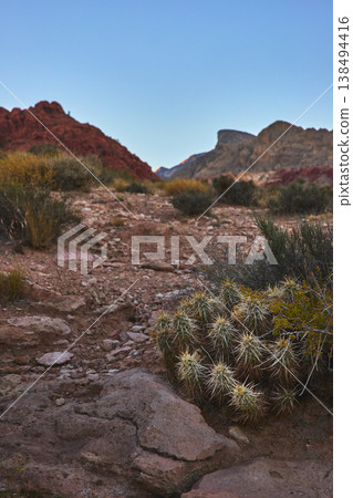 Cactus Cluster and Desert Shrubs with Red Rock Canyon Peaks under Clear Blue Sky 138494416