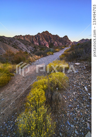 Desert Hiking Trail with Yellow Wildflowers and Red Rock Canyon Peaks at Sunset 138494703