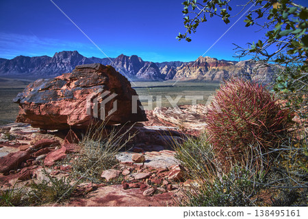 Calico Sandstone Boulder and Fire Barrel Cactus in Red Rock Canyon Desert Landscape Calico Sandstone Boulder and Fire Barrel Cactus in Red Rock Canyon Desert Landscape 138495161