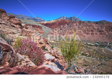 Red Rock Canyon Desert Landscape With Calico Formations And Fire Barrel Cactus Red Rock Canyon Desert Landscape With Calico Formations And Fire Barrel Cactus 138495178
