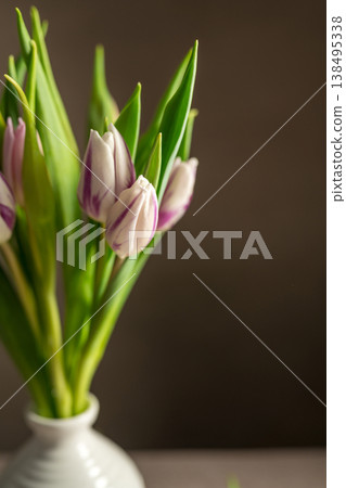 Spring floral background. Fresh purple and pink tulips flowers bouquet in white vase. Mother's day. Copy space Spring floral background. Fresh purple and pink tulips flowers bouquet in white vase. Mother's day. Copy space 138495338