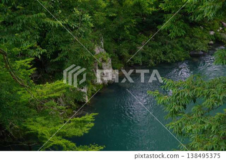 In early summer, along the river in Meihō-chō, Gujō-shi, Gifu Prefecture, the river flows clearly, seasonal flowers bloom, and the fresh greenery is vibrant. 138495375