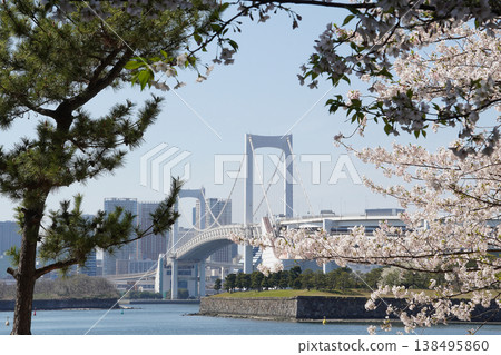 A beautiful spectacle of cherry blossoms in full bloom and the Rainbow Bridge (a spring scene in Odaiba) A beautiful spectacle of cherry blossoms in full bloom and the Rainbow Bridge (a spring scene in Odaiba) 138495860