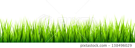 Meadow silhouette with green grass, plants on plain. Panoramic summer lawn landscape with herbs, various weeds. Herbal border, frame element. Black horizontal banners. Vector illustration Meadow silhouette with green grass, plants on plain. Panoramic summer lawn landscape with herbs, various weeds. Herbal border, frame element. Black horizontal banners. Vector illustration 138496029