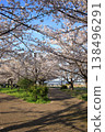 Cherry blossoms at Komatsugawa Senbonzakura (Edogawa, Tokyo) Cherry blossoms at Komatsugawa Senbonzakura (Edogawa, Tokyo) 138496291