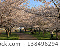 Cherry blossoms at Komatsugawa Senbonzakura (Edogawa, Tokyo) Cherry blossoms at Komatsugawa Senbonzakura (Edogawa, Tokyo) 138496294