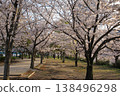 Cherry blossoms at Komatsugawa Senbonzakura (Edogawa, Tokyo) Cherry blossoms at Komatsugawa Senbonzakura (Edogawa, Tokyo) 138496298