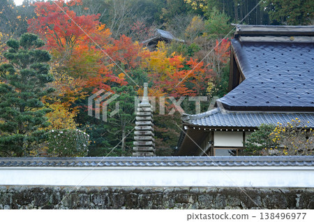 京都龜岡市的圓福寺 京都龜岡市的圓福寺 138496977