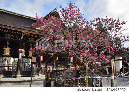 北野天滿宮：飛梅樹與正殿（京都市上京區） 138497052