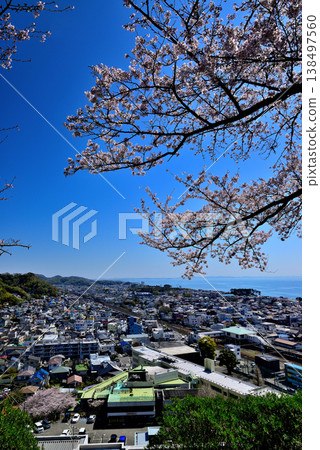 從東山公園的第二個觀景台上可以眺望JR二宮車站和相模灣週邊地區,櫻花盛開,景色優美。 從東山公園的第二個觀景台上可以眺望JR二宮車站和相模灣週邊地區,櫻花盛開,景色優美。 138497560