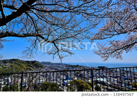 從東山公園的第二個觀景台上可以眺望JR二宮車站和相模灣週邊地區,櫻花盛開,景色優美。 從東山公園的第二個觀景台上可以眺望JR二宮車站和相模灣週邊地區,櫻花盛開,景色優美。 138497567