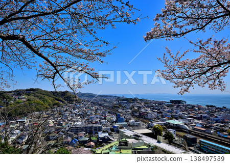 從東山公園的第二個觀景台上可以眺望JR二宮車站和相模灣週邊地區,櫻花盛開,景色優美。 從東山公園的第二個觀景台上可以眺望JR二宮車站和相模灣週邊地區,櫻花盛開,景色優美。 138497589
