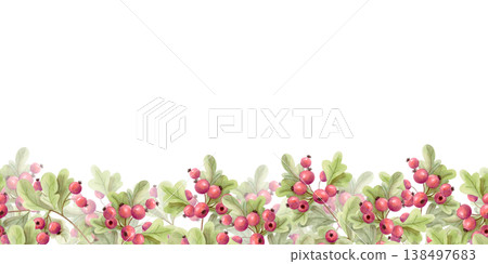 Watercolor seamless berry border with green leaves. Autumn botanical hawthorn garland. Cozy nature decorative frame illustration Watercolor seamless berry border with green leaves. Autumn botanical hawthorn garland. Cozy nature decorative frame illustration 138497683