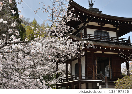 Kanshuji Temple in spring: Kannon Hall and cherry blossoms (Yamashina Ward, Kyoto City) Kanshuji Temple in spring: Kannon Hall and cherry blossoms (Yamashina Ward, Kyoto City) 138497836