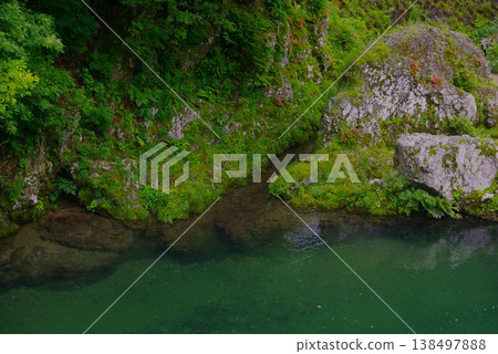 In early summer, along the Seseragi Kaido road in Takayama City, Gifu Prefecture, you can see the clear river water and the flowers of the rock azaleas clinging to the rocks. In early summer, along the Seseragi Kaido road in Takayama City, Gifu Prefecture, you can see the clear river water and the flowers of the rock azaleas clinging to the rocks. 138497888