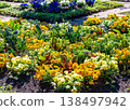 花園 138497942
