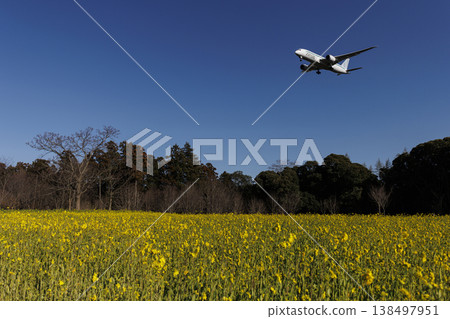 Rape flower field and plane Rape flower field and plane 138497951