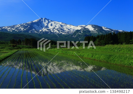 Mt. Chokai and its reflection in the rice fields 138498217
