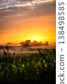 A peaceful summer morning landscape featuring a glowing sunrise over a mist-covered rural field.  138498585