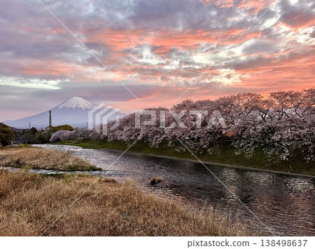 從浮井川龍岩淵看到的櫻花和富士山 從浮井川龍岩淵看到的櫻花和富士山 138498637