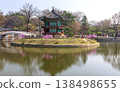 Beautiful spring view of Hyangwonjeong Pavilion framed by blooming weeping cherry blossoms at Gyeongbokgung Palace, Seoul, South Korea. 138498655