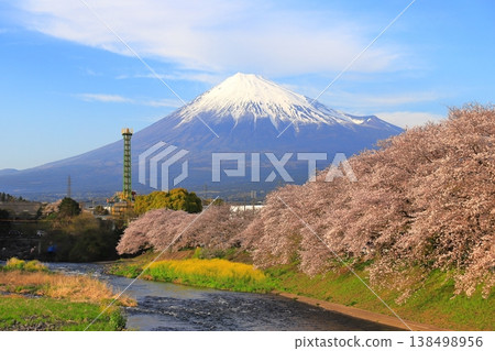 Cherry blossom Cherry blossom 138498956