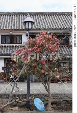 A street scene in the Kurashiki Bikan Historical Quarter [east of the Kurashiki River, across the canal from the Japan Folk Toy Museum] 138499218
