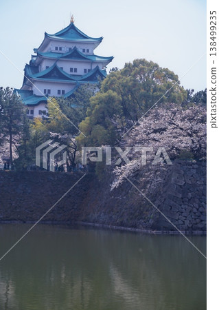 從外護城河眺望名古屋城的主天守閣,櫻花盛開的美景盡收眼底。 從外護城河眺望名古屋城的主天守閣,櫻花盛開的美景盡收眼底。 138499235