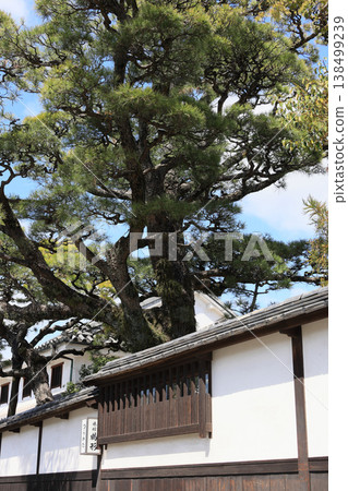 倉敷美觀歷史街區街景[倉敷川運河北岸的日式餐廳] 138499239