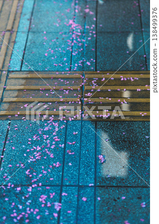 雨停後,花瓣漂浮在水窪裡。 雨停後,花瓣漂浮在水窪裡。 138499376