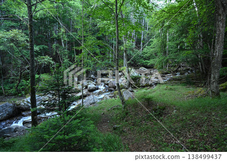 攀登小布希岳(長野縣、山梨縣、埼玉縣) 攀登小布希岳(長野縣、山梨縣、埼玉縣) 138499437