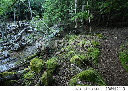 攀登小布希岳(長野縣、山梨縣、埼玉縣) 攀登小布希岳(長野縣、山梨縣、埼玉縣) 138499443