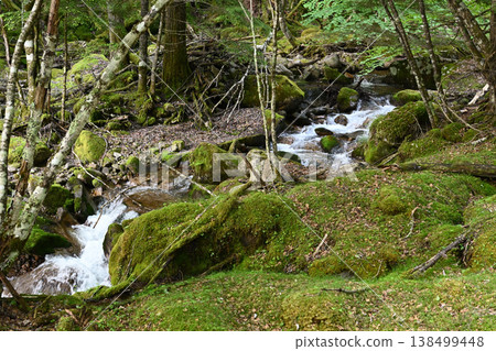 攀登小布希岳（長野縣、山梨縣、埼玉縣） 138499448