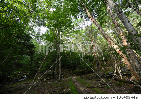 Climbing Mt. Kobushigatake, Nagano, Yamanashi, Saitama 138499449