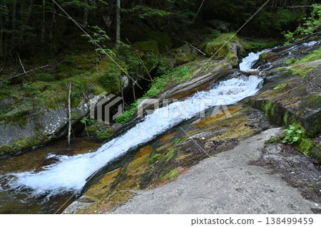 攀登小布希岳（長野縣、山梨縣、埼玉縣） 138499459