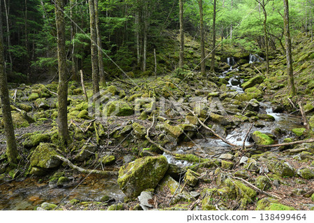 攀登小布希岳(長野縣、山梨縣、埼玉縣) 攀登小布希岳(長野縣、山梨縣、埼玉縣) 138499464