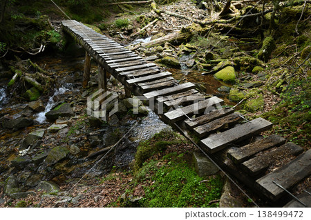 攀登小布希岳（長野縣、山梨縣、埼玉縣） 138499472