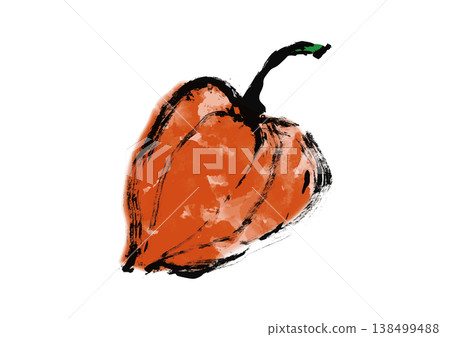 Chinese lantern plant illustration in Japanese style 138499488