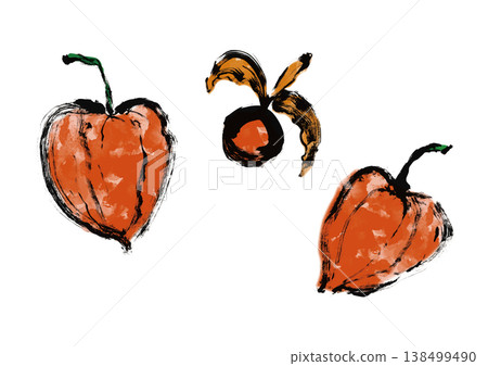 Chinese lantern plant illustration in Japanese style 138499490