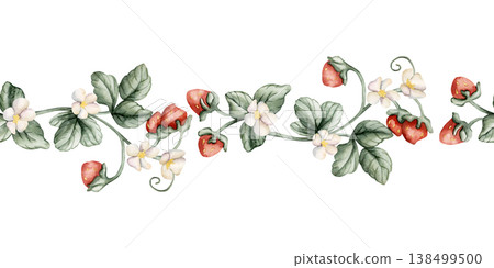 Wild Strawberry Branches Seamless Border. Watercolor summer spring floral forest illustration hand painted isolated on white background for nursery baby kids design fresh prints cards posters textile Wild Strawberry Branches Seamless Border. Watercolor summer spring floral forest illustration hand painted isolated on white background for nursery baby kids design fresh prints cards posters textile 138499500