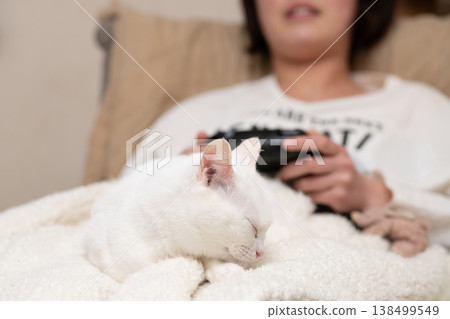 A cat sleeping on its owner's lap while the owner plays a game. A cat sleeping on its owner's lap while the owner plays a game. 138499549