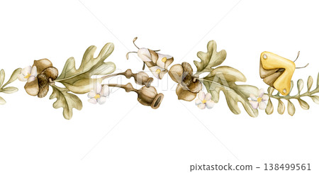 Acorns Oak leaves Poppy Boxes Butterfly Seamless Border. Cute Watercolor summer floral forest illustration hand painted isolated on white background for nursery baby kids design fresh prints textile Acorns Oak leaves Poppy Boxes Butterfly Seamless Border. Cute Watercolor summer floral forest illustration hand painted isolated on white background for nursery baby kids design fresh prints textile 138499561