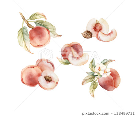Pink Peaches Arrangement Set Summer Juicy Ripe Fruits. Watercolor hand drawn floral food illustration isolated on white background for home kitchen textile fresh print card cosmetic package crockery 138499731
