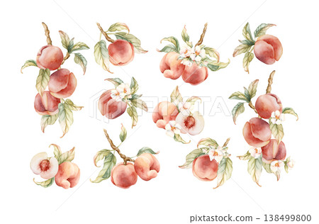 Pink Peaches Arrangement Set Summer Juicy Ripe Fruits. Watercolor hand drawn floral food illustration isolated on white background for home kitchen textile fresh print card cosmetic package crockery Pink Peaches Arrangement Set Summer Juicy Ripe Fruits. Watercolor hand drawn floral food illustration isolated on white background for home kitchen textile fresh print card cosmetic package crockery 138499800