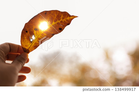 Heatwave extreme weather climate change global warming environmental crisis Heatwave extreme weather climate change global warming environmental crisis 138499917