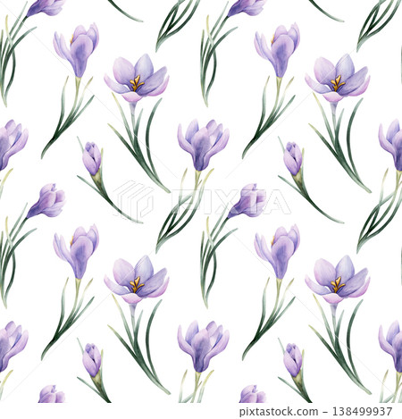 Crocus Seamless Pattern Spring Bulb Flower. Watercolor hand drawn floral illustration isolated on white background Easter Woman's day design home textile fresh fabric print card cosmetic package Crocus Seamless Pattern Spring Bulb Flower. Watercolor hand drawn floral illustration isolated on white background Easter Woman's day design home textile fresh fabric print card cosmetic package 138499937