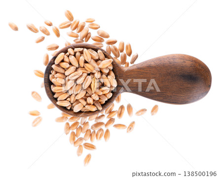 Wheat grains isolated on white background. Processed organic dry wheat seeds in wooden spoon. Clipping path. Top view. Wheat grains isolated on white background. Processed organic dry wheat seeds in wooden spoon. Clipping path. Top view. 138500196